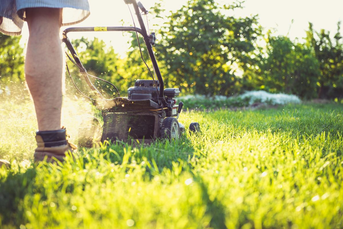 Gardeners using Youzse