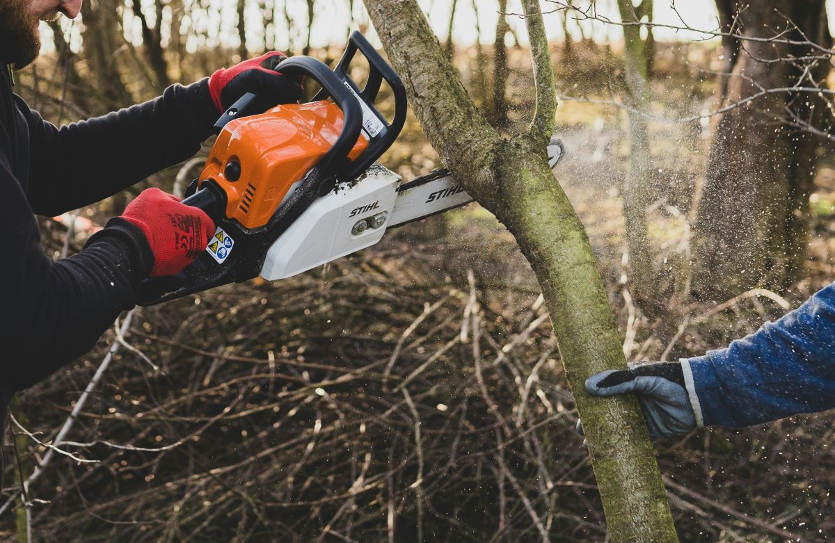 Tree Surgeons using Youzse