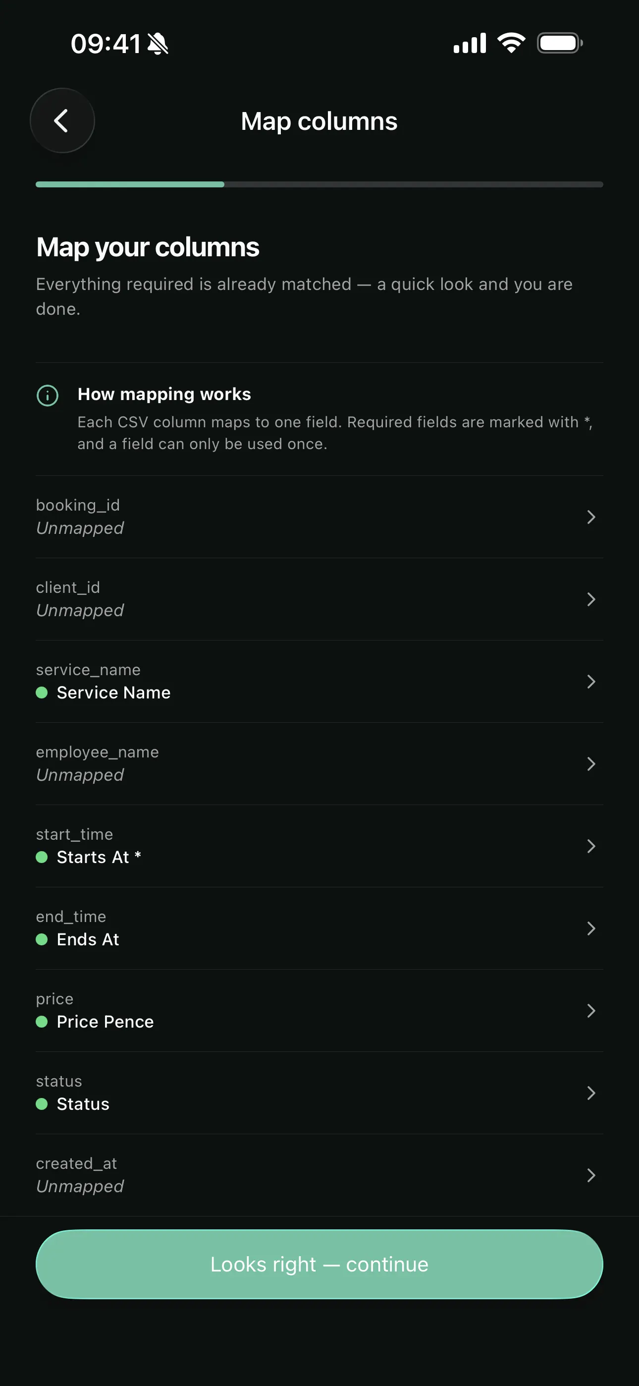 Mapping columns to Youzse fields on mobile