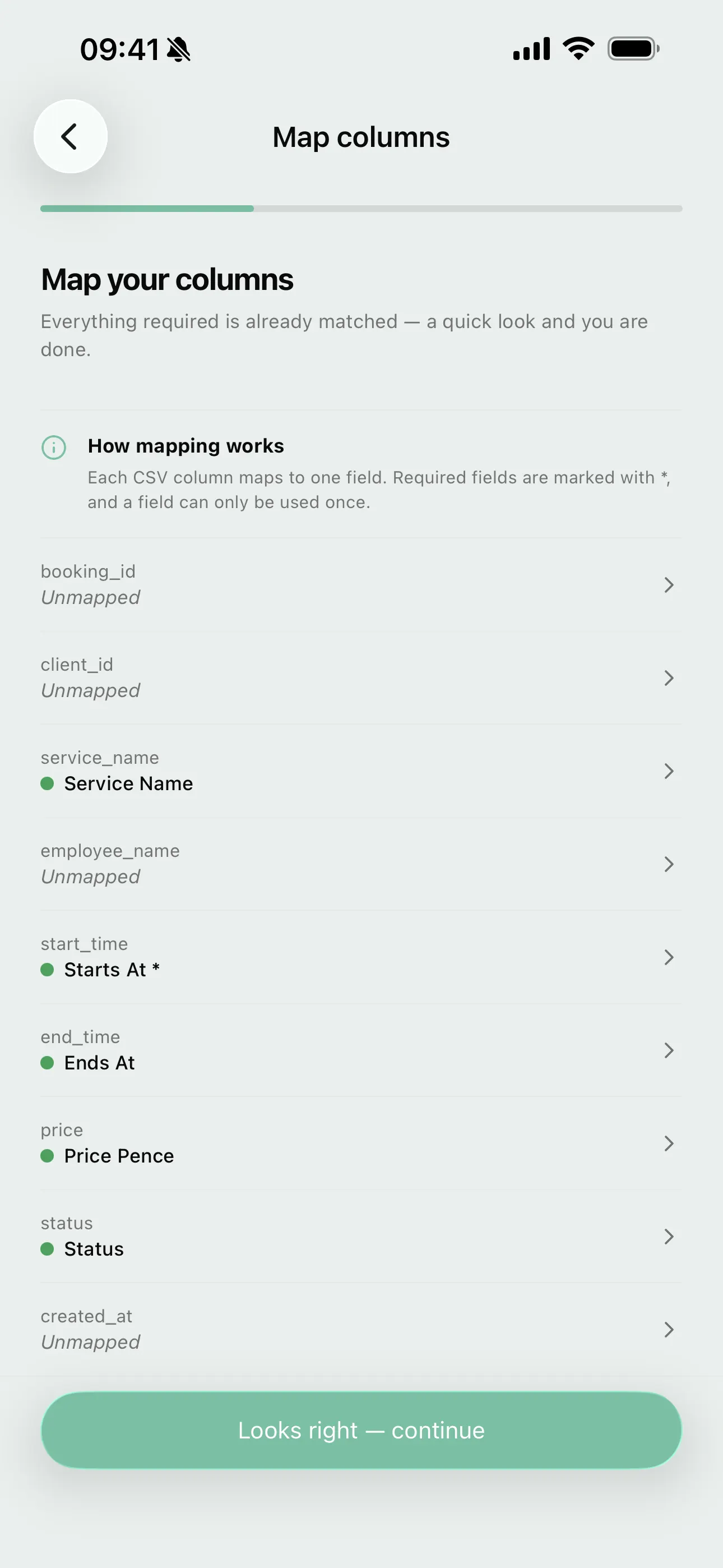 Mapping columns to Youzse fields on mobile